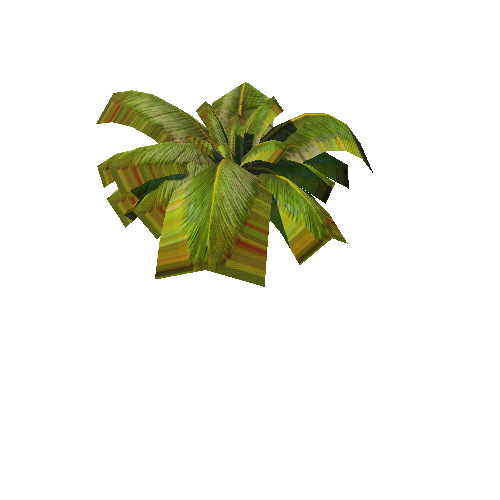 01-Tropical03 Fern01_1